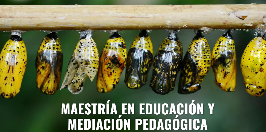 Mariposas_maestria