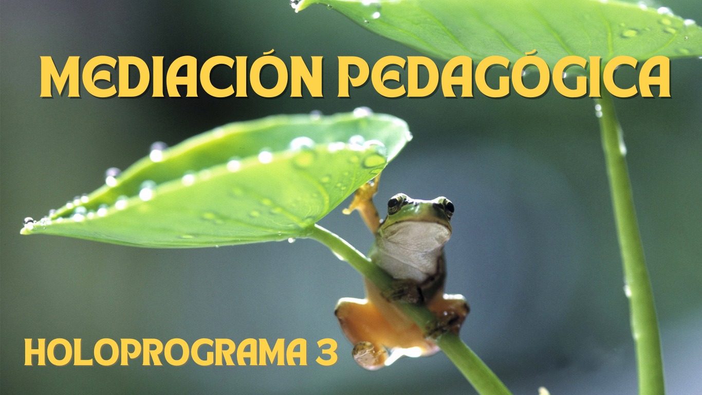 Mediación Pedagógica